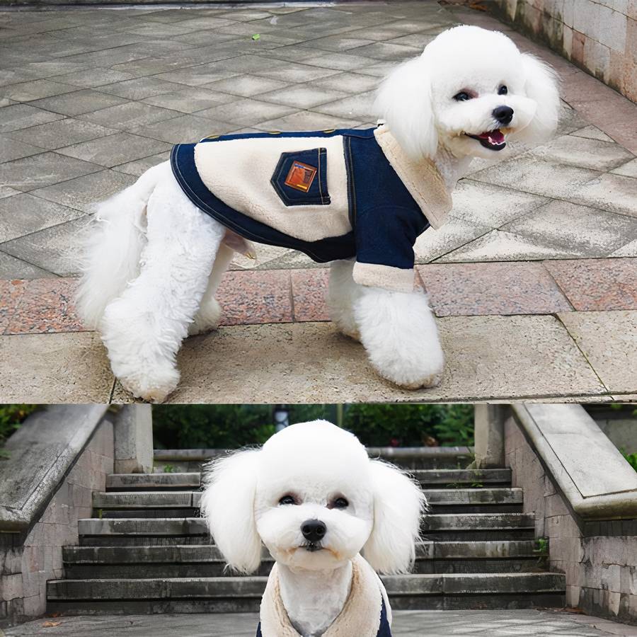 Denim Winter Coat for Dogs Warm Pet Jacket Small Medium Large Sizes