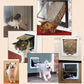 Flap Door for Dogs Pet Door Durable Easy Install