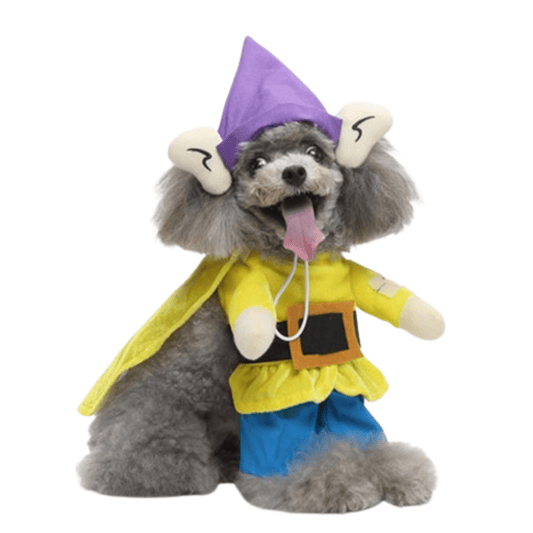 Simplet Dog and Cat Costume Pet Outfit Halloween Dress Up