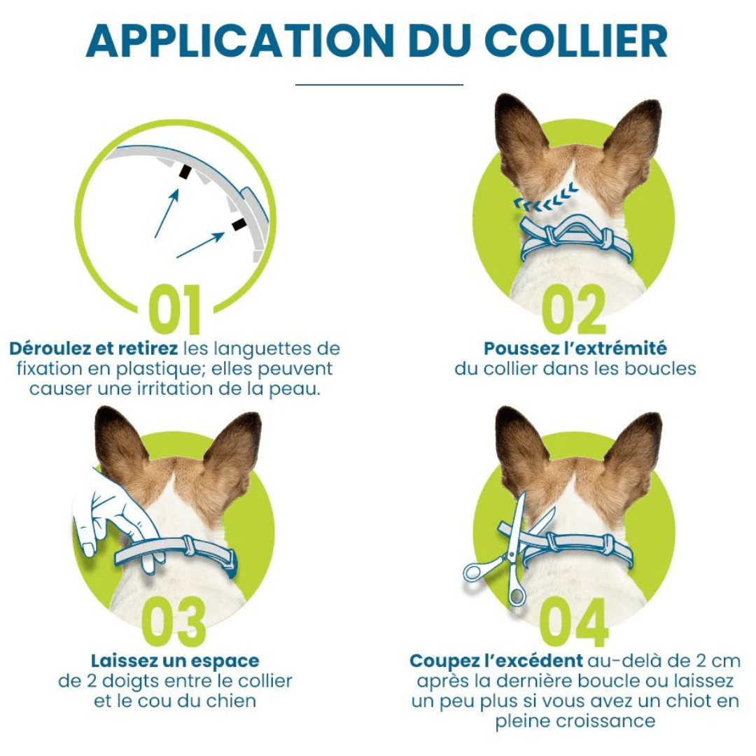 Flea and Tick Collar for Dogs and Cats Natural Pest Protection