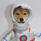 Astronaut Costume for Cats and Dogs Pet Space Suit Halloween Outfit