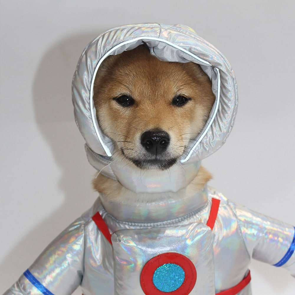 Astronaut Costume for Cats and Dogs Pet Space Suit Halloween Outfit
