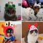 Animal Shaped Cat Hat Cute Pet Costume Accessory for Cats