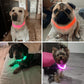 LED Dog Collar Rechargeable Safety Light Up Collar for Night Walks Visible Pet Collar