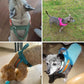 T Harness Dog Leash Adjustable No Pull Comfortable Pet Walking Harness