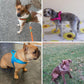 T Harness Dog Leash Adjustable No Pull Comfortable Pet Walking Harness