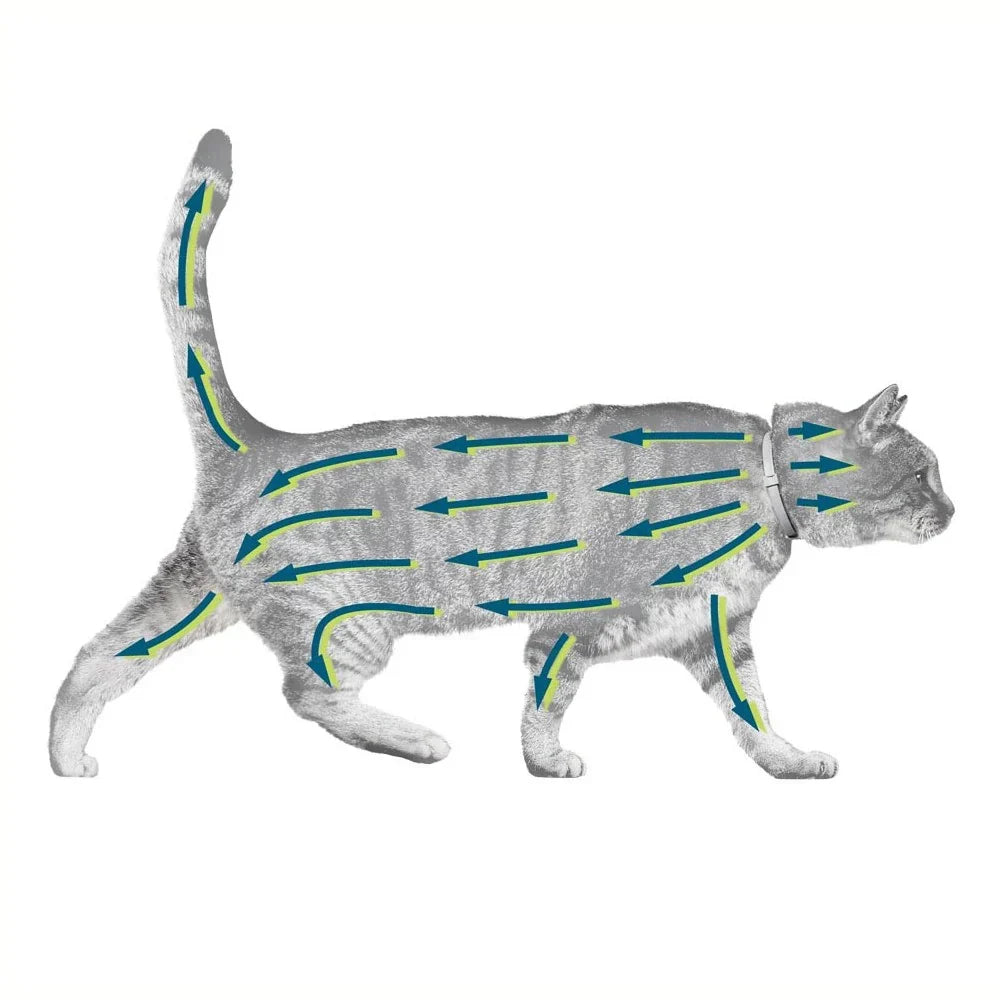 Natural Flea Collar for Cats Flea and Tick Protection