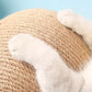 Cat Scratching Ball Toy Interactive Play for Cats and Kittens