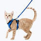 Cat Escape Proof Harness Adjustable Pet Safety Vest