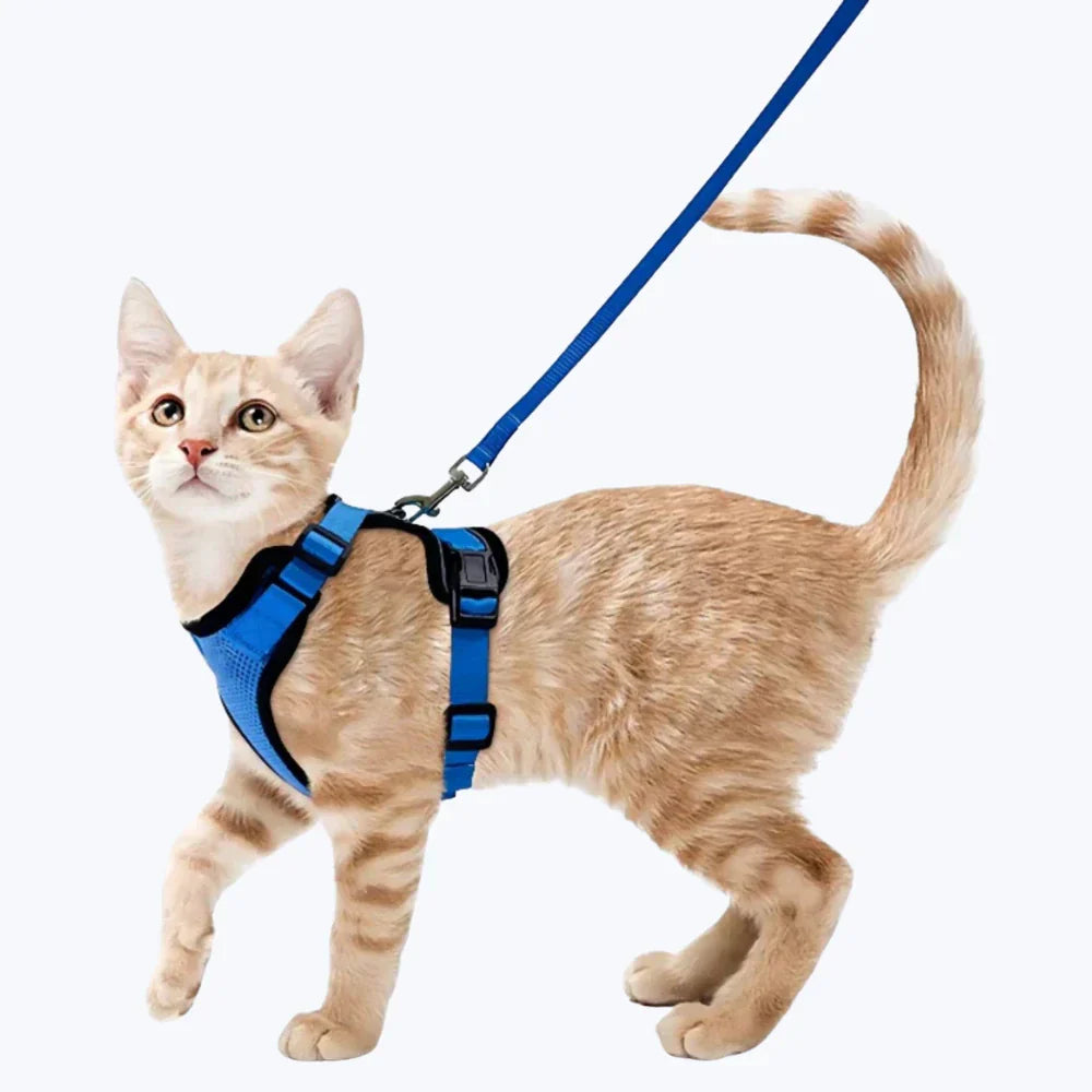 Cat Escape Proof Harness Adjustable Pet Safety Vest