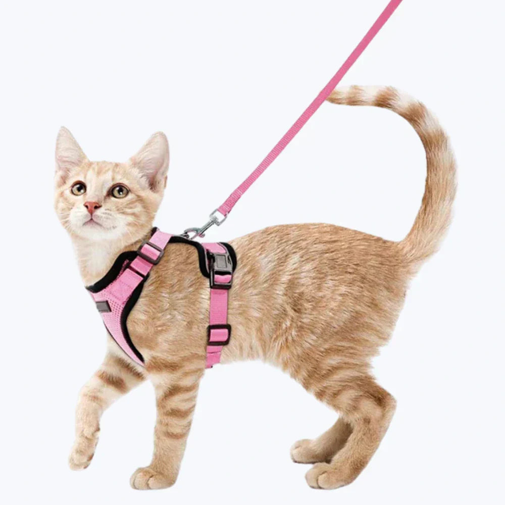 Cat Escape Proof Harness Adjustable Pet Safety Vest