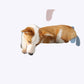 Soft Fluffy Dog Sofa Bed Plush Pet Couch for Small Dogs