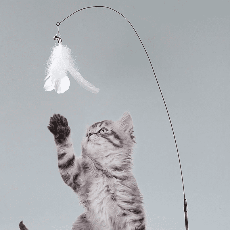 Cat Fishing Rod Toy with Suction Cup Interactive Cat Wand Teaser