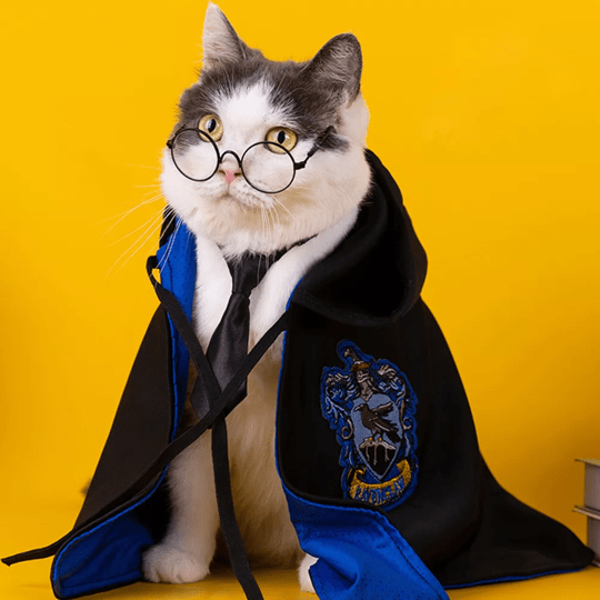 Harry Potter Cape Costume for Cats and Dogs Magical Pet Apparel