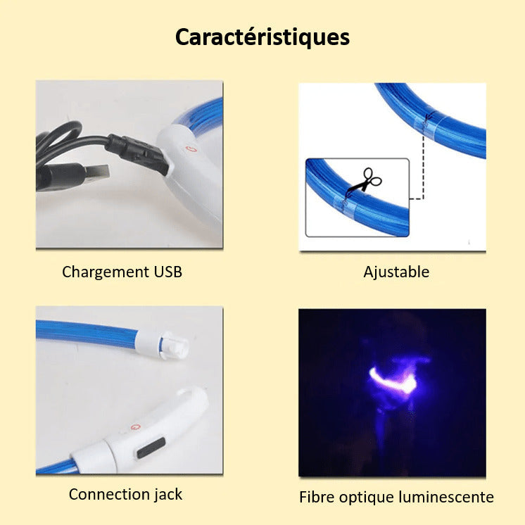 LED Dog Collar Rechargeable Safety Light Up Collar for Night Walks Visible Pet Collar