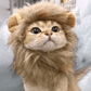 Cat Costume Lion Mane Wig for Cats Pet Dress Up
