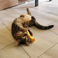 Mini Plush Cat Toys Soft Interactive Pet Stuffed Animals