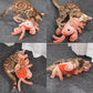 Interactive Pet Toy Crawfish Plush for Cats and Dogs