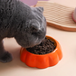 Small Ceramic Dog and Cat Bowl Fruit Edition Premium Pet Feeding Dish