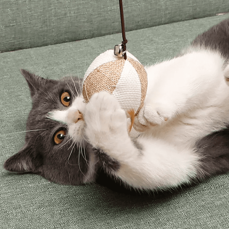 Wooden Cat Fishing Rod Toy Interactive Cat Wand Teaser