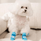 Dog Socks Blue Frog Pattern Pet Socks for Small Medium Dogs