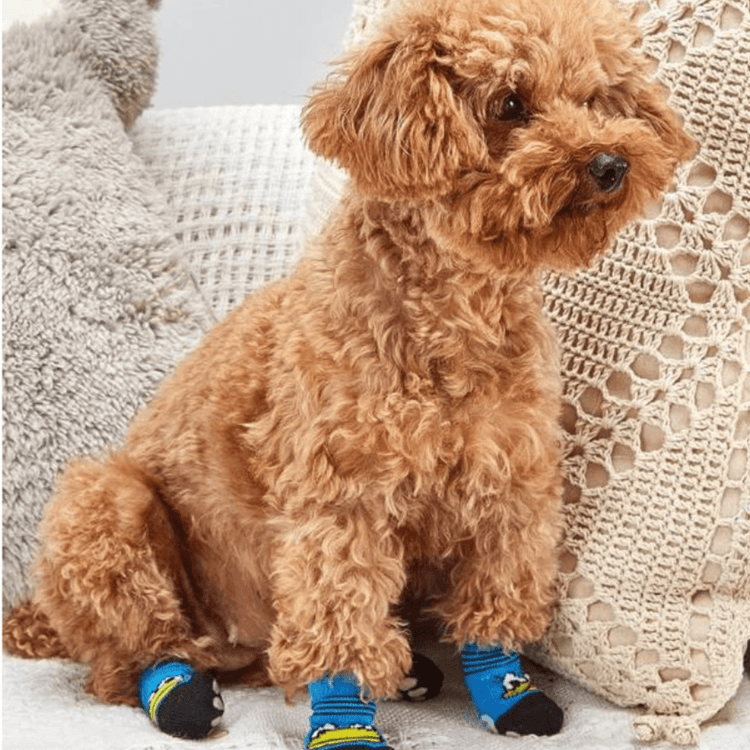 Dog Socks Duck Design Paw Protection Pet Footwear