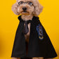 Harry Potter Cape Costume for Cats and Dogs Magical Pet Apparel