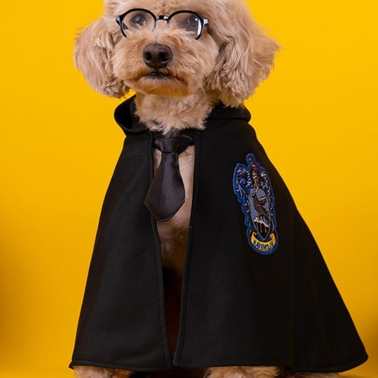 Harry Potter Cape Costume for Cats and Dogs Magical Pet Apparel