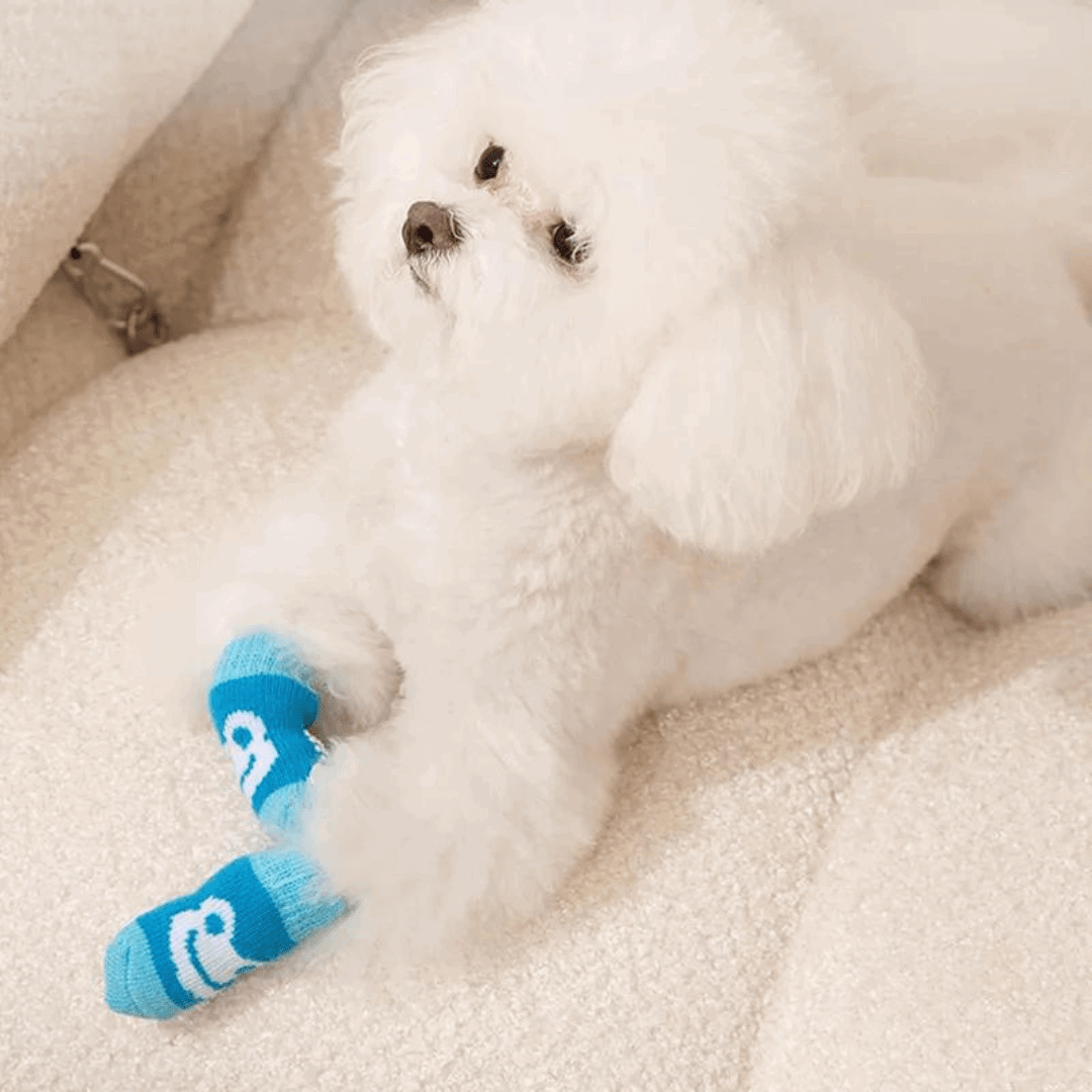 Dog Socks Blue Frog Pattern Pet Socks for Small Medium Dogs
