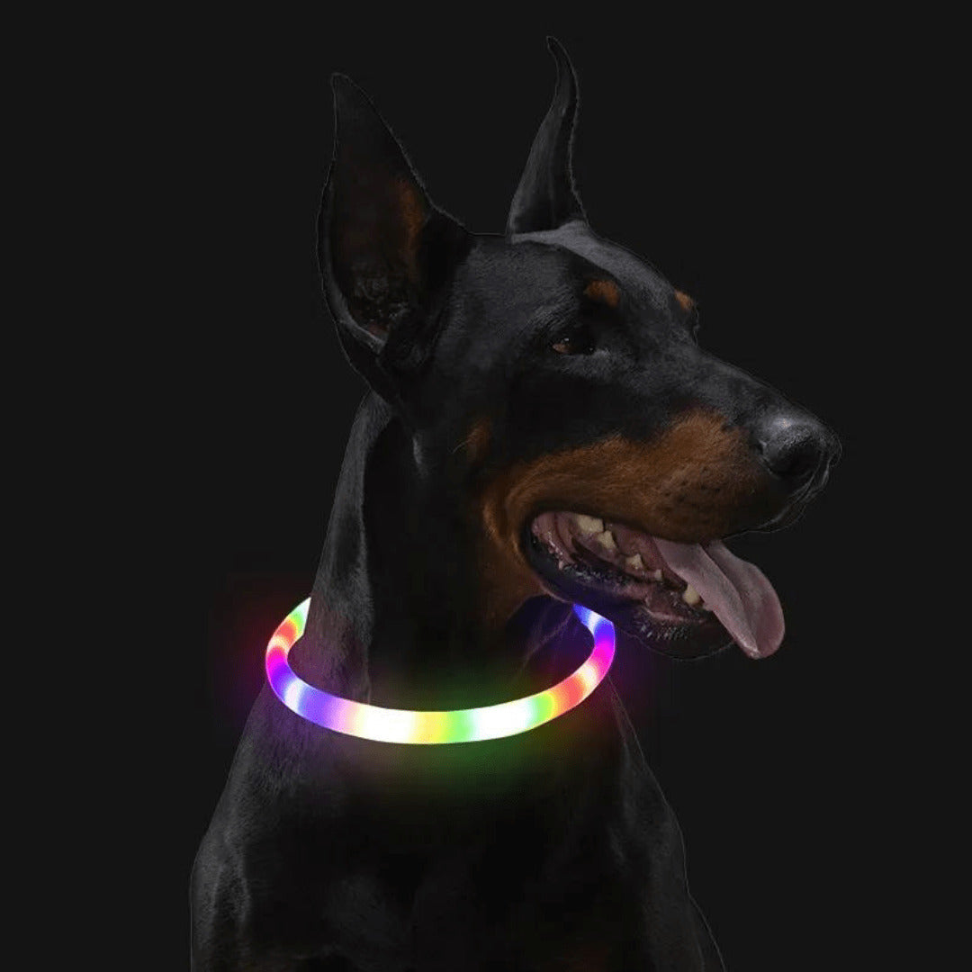 LED Dog Collar Rechargeable Safety Light Up Collar for Night Walks Visible Pet Collar