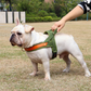 T Harness Dog Leash Adjustable No Pull Comfortable Pet Walking Harness