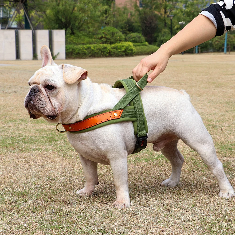 T Harness Dog Leash Adjustable No Pull Comfortable Pet Walking Harness