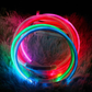 LED Dog Collar Rechargeable Safety Light Up Collar for Night Walks Visible Pet Collar