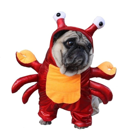 Crab Costume for Cats and Dogs Pet Halloween Outfit