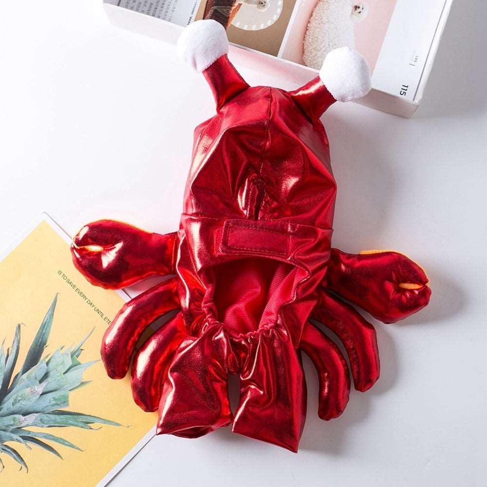 Crab Costume for Cats and Dogs Pet Halloween Outfit