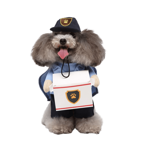 Pet Delivery Driver Costume for Dogs and Cats Cute Outfit for Pets