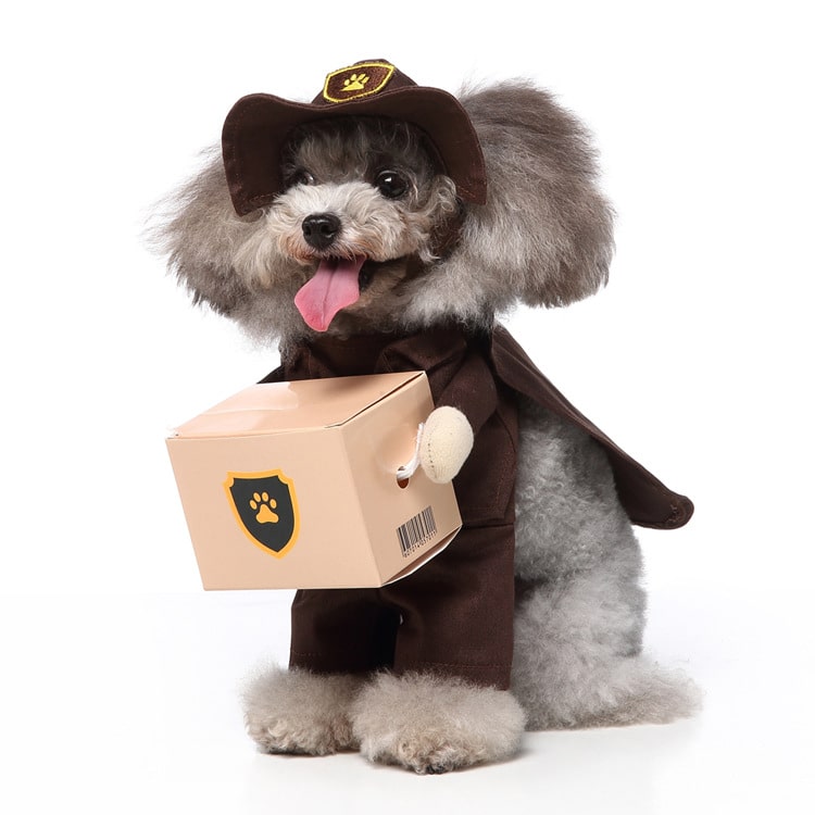 Pet Costume for Cats and Dogs - Package Delivery Courier Outfit