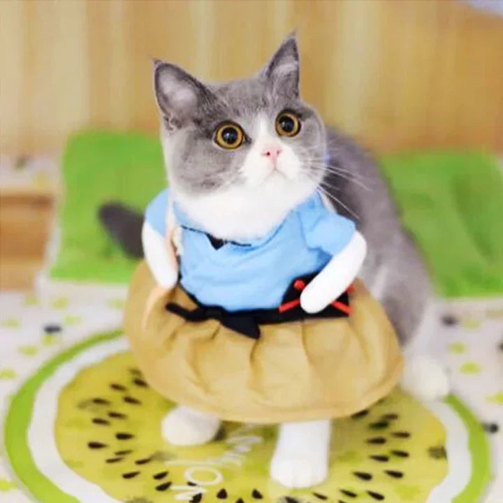 Samurai Costume for Cats and Dogs Pet Outfit Japanese Warrior Pet Clothes