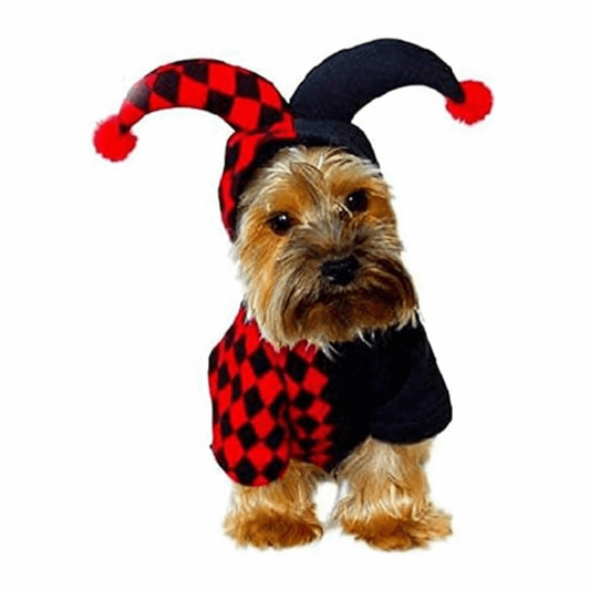 Crazy Costume for Dogs and Cats Fun Pet Outfit