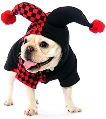 Crazy Costume for Dogs and Cats Fun Pet Outfit