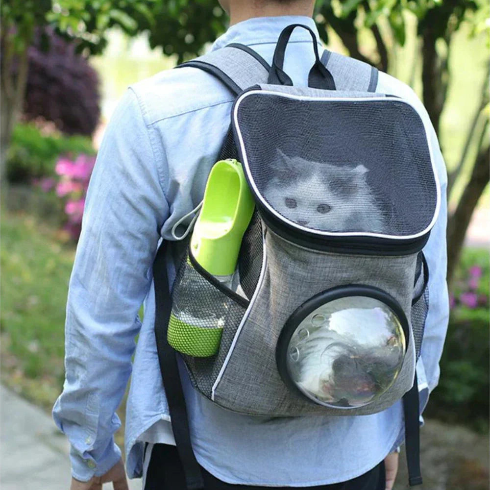 Cat Water Bottle Reusable Portable Pet Drinking Bottle for Cats
