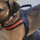 T Harness Dog Leash Adjustable No Pull Comfortable Pet Walking Harness