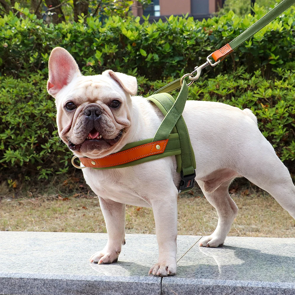 T Harness Dog Leash Adjustable No Pull Comfortable Pet Walking Harness