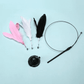 Cat Fishing Rod Toy with Suction Cup Interactive Cat Wand Teaser