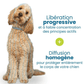 Flea and Tick Collar for Dogs and Cats Natural Pest Protection