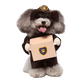 Pet Costume for Cats and Dogs - Package Delivery Courier Outfit