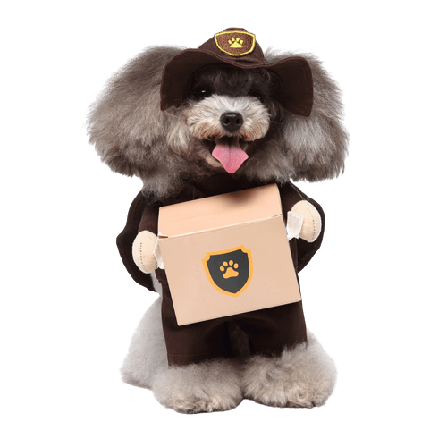 Pet Costume for Cats and Dogs - Package Delivery Courier Outfit