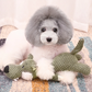 Corduroy Plush Sound Toy for Kids and Pets