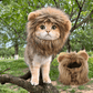 Cat Costume Lion Mane Wig for Cats Pet Dress Up
