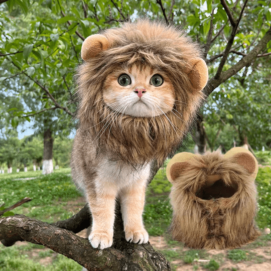 Cat Costume Lion Mane Wig for Cats Pet Dress Up